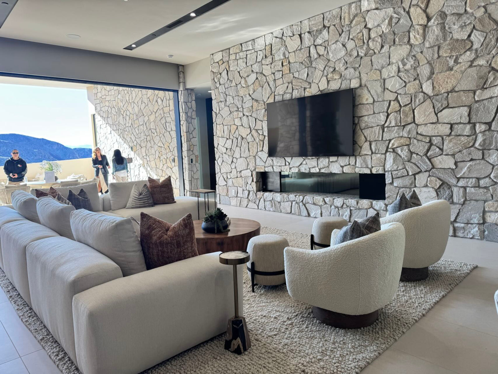 California Calm Living Room Project image 1