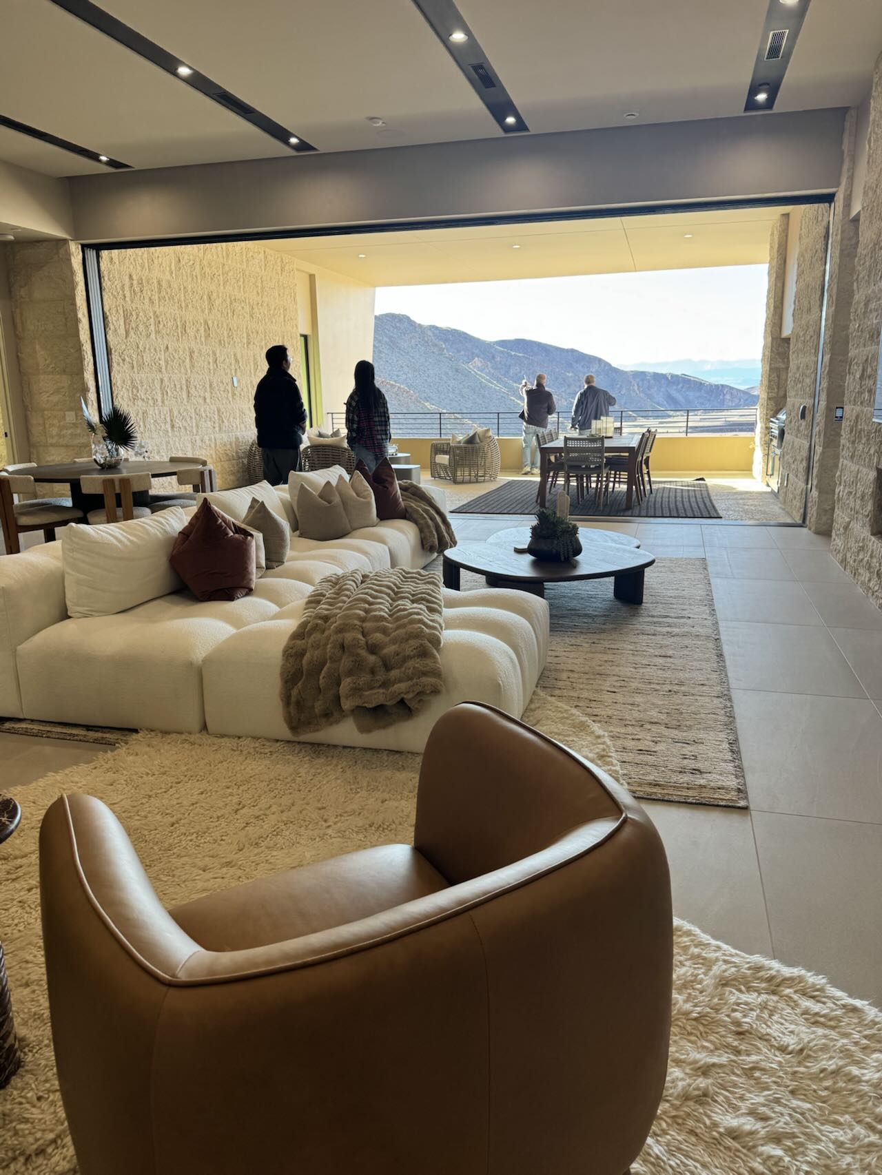California Calm Living Room Project image 2