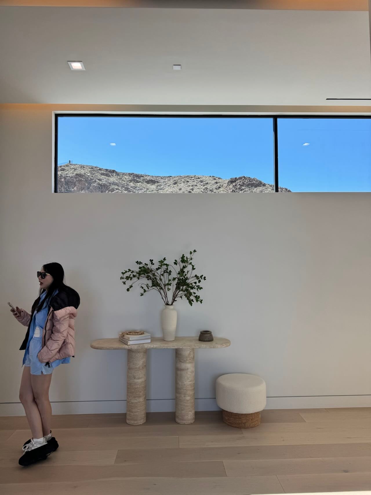Silicon Valley Modern Living Room Project image 4